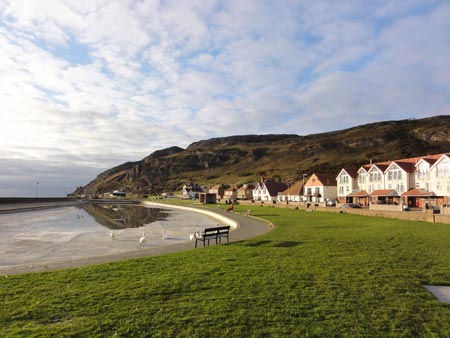 Birds at Llandudno