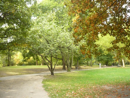 P1050930_park
