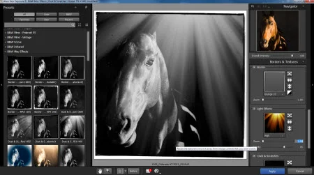 Exposure 5