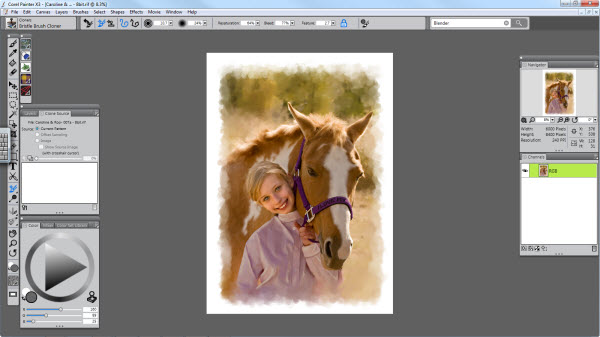 Corel Painter X3