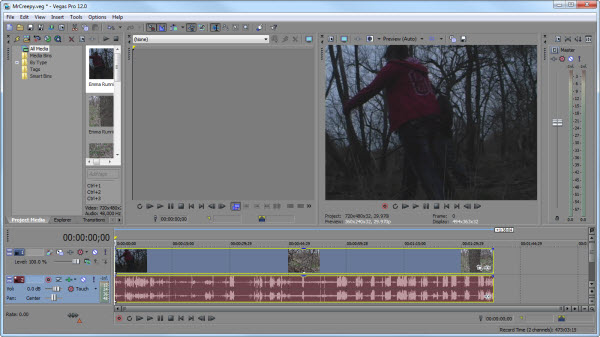 Sony Vegas Pro 12