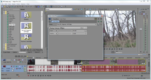 Sony Vegas Pro 12