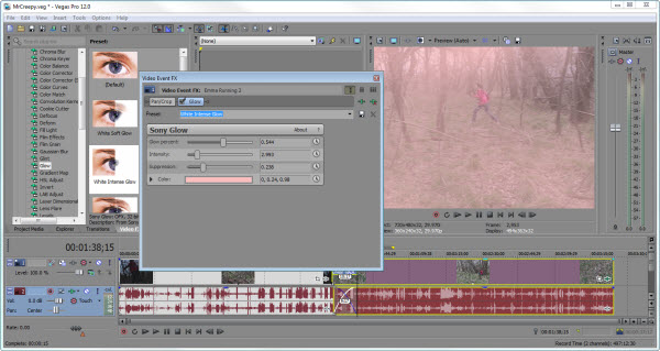Sony Vegas Pro 12