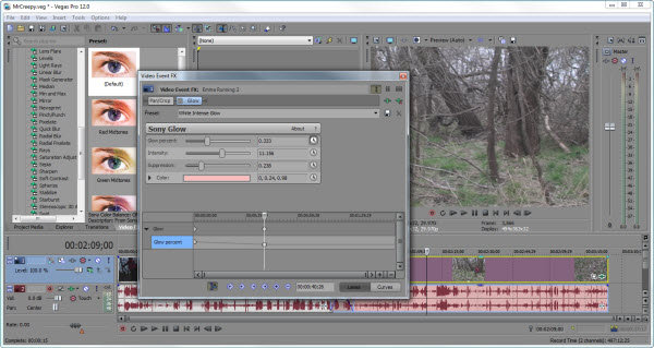 Sony Vegas Pro 12