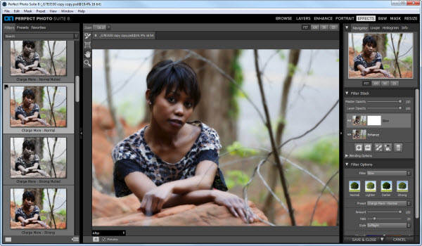 Perfect Photo Suite 8