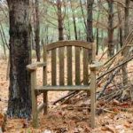 images-9