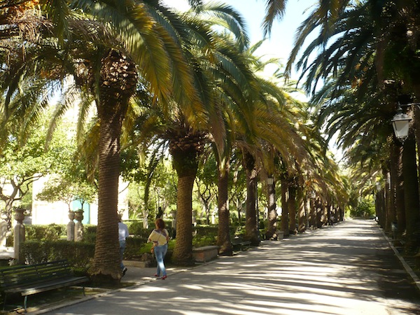 P1070269-giardino-ibleo-palms