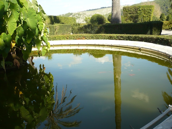 P1070271-pool