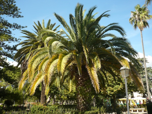 Giardino Ibleo, Ragusa, Sicily