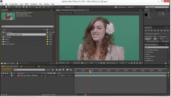 Adobe Creative Cloud 2014