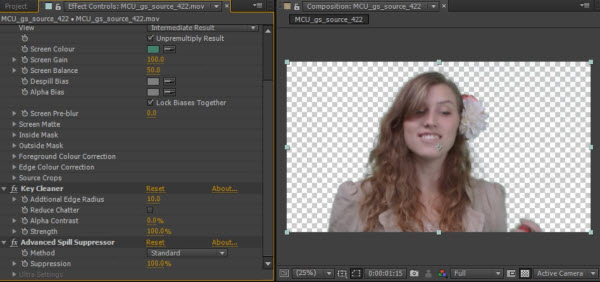 Adobe Creative Cloud 2014