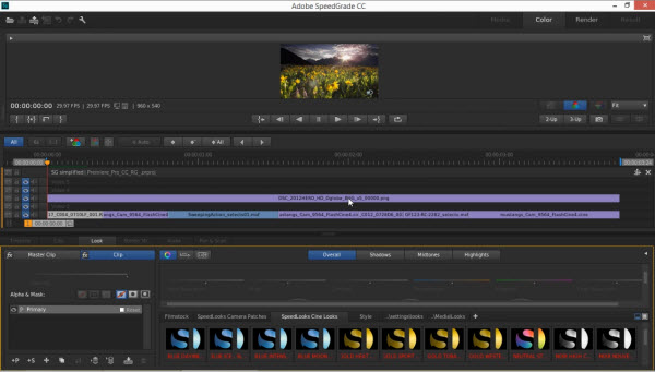 Adobe Creative Cloud 2014