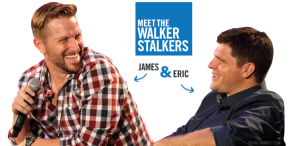 Walker Stalker Con Chicago