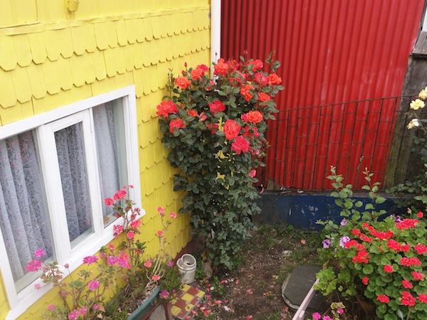 Chiloe