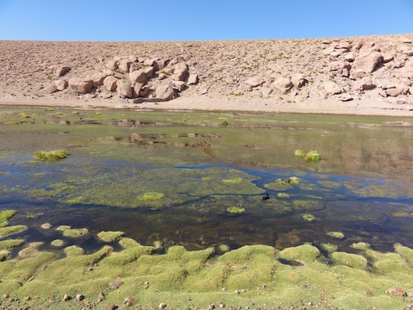 Atacama Desert, Chile