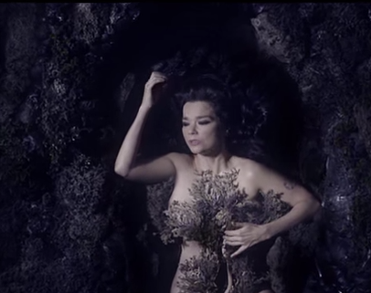 bjork moma