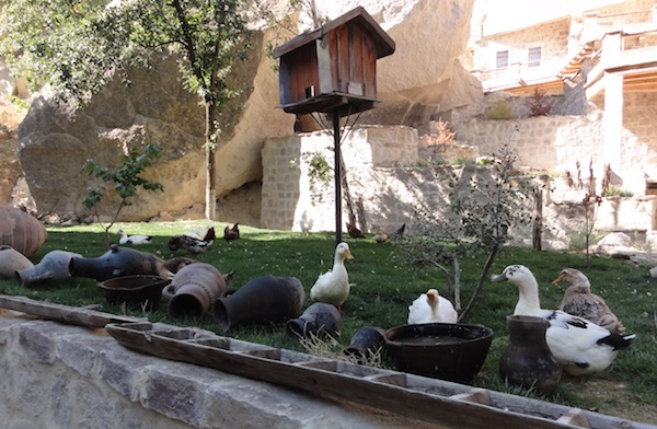 Kelebek organic farm breakfast, Cappadocia