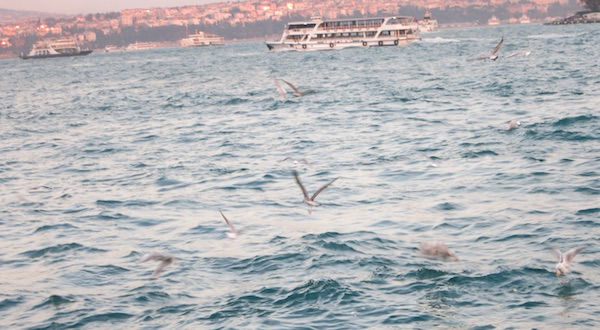 Golden Horn, Istanbul