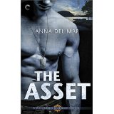 The Asset from Amazon