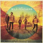 wild feathers