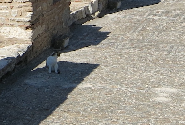 A mosaic floor lines a side alley