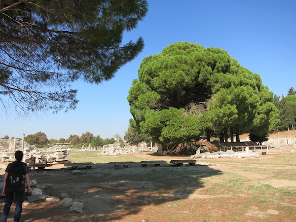 ephesus turkey