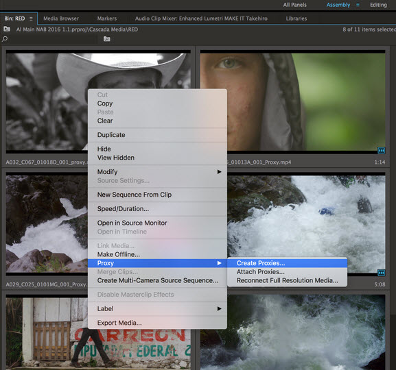 Adobe Premiere Pro