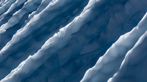 antarctica AdobeMAX