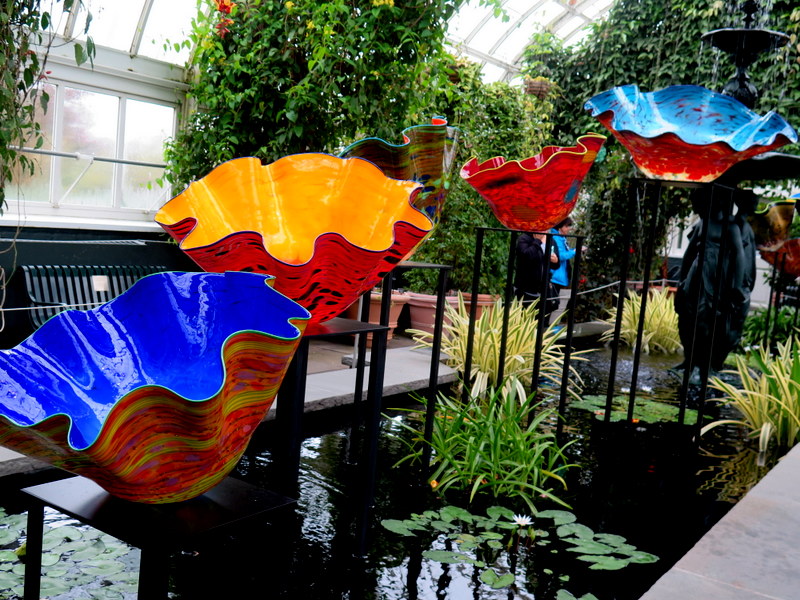 Dale Chihuly's Macchia Forest (2017), NYBG, Chihuly