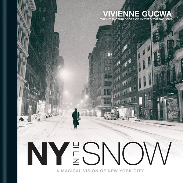NY in the Snow - Vivienne Gucwa