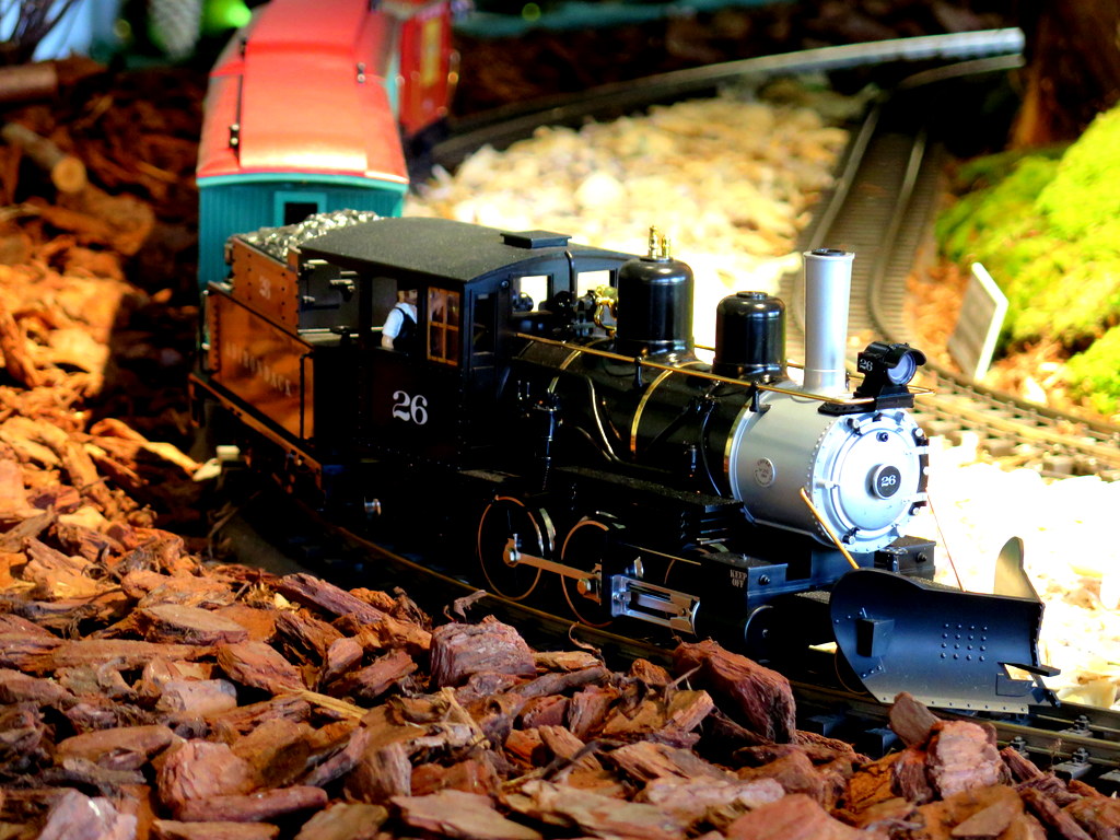 NYBG, Holiday Train Show