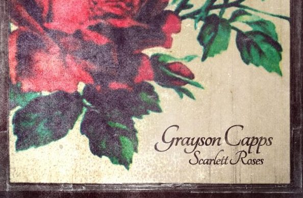 scarlett roses