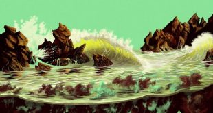 reflections of a floating world