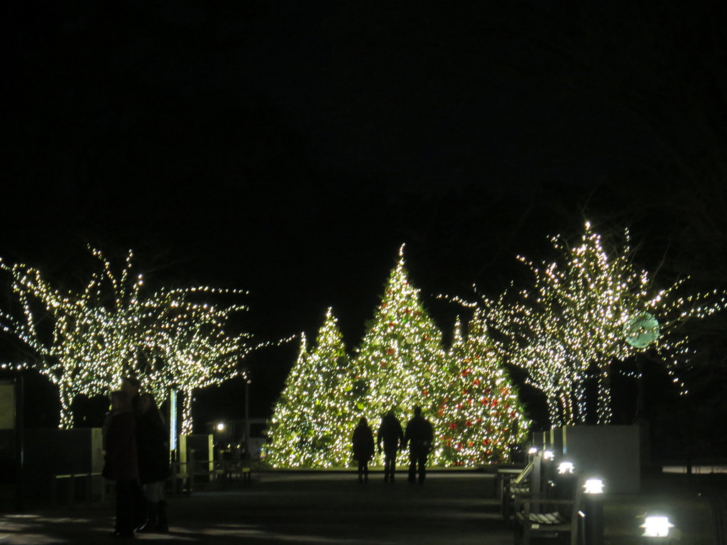 Bar Car Nights, New York Botanical Garden, Holiday Train Show, Bronx New York
