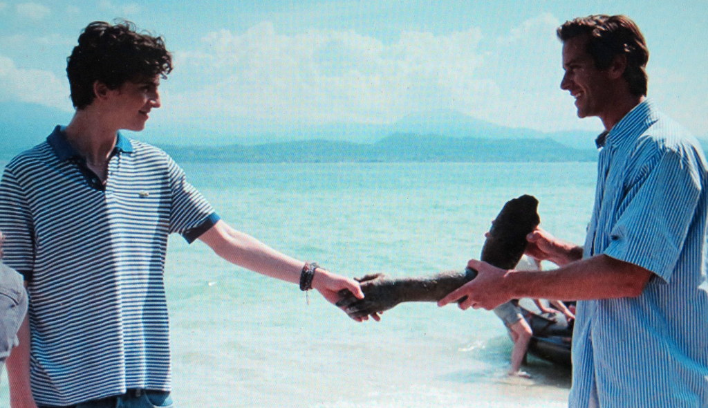Timothée Chalamet, Armie Hammer, Call Me By Your Name, HIFF, NYFF