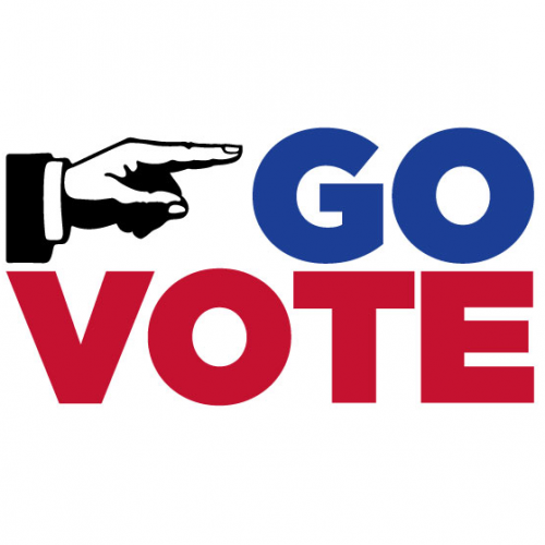 vote voting voter turnout