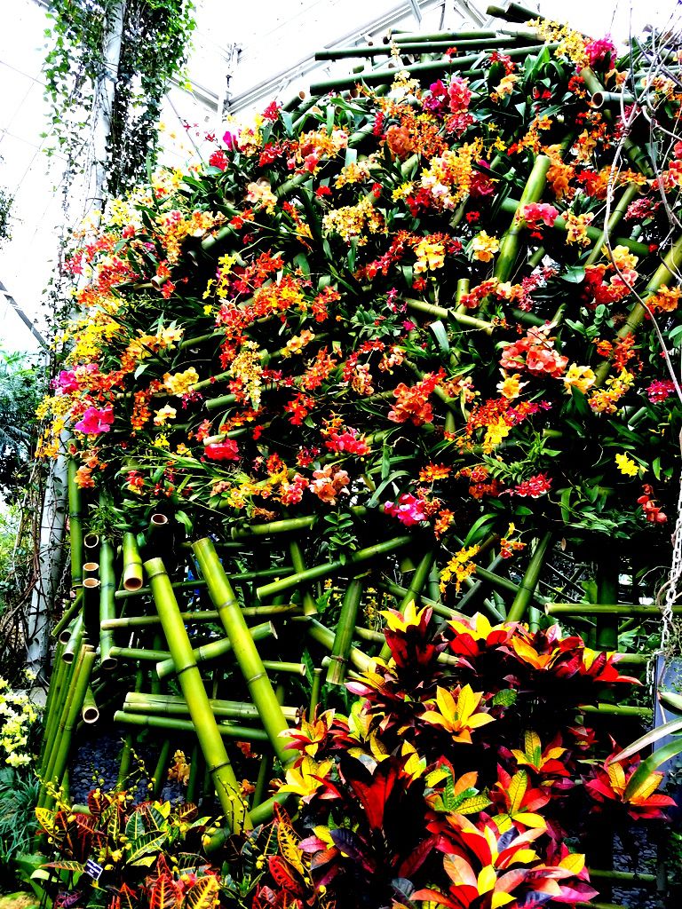 NYBG Orchid Show, Belgian Floral Artist Daniel Ost