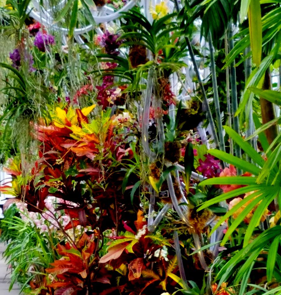 Belgian Floral Artist Daniel Ost, NYBG Orchid Show 2018