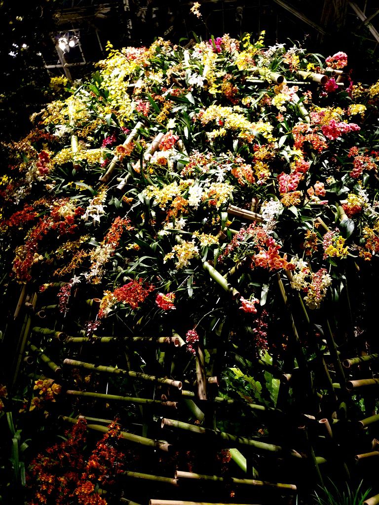 Daniël Ost, Belgian floral artist, 2018 NYBG Orchid Show, orchid evenings