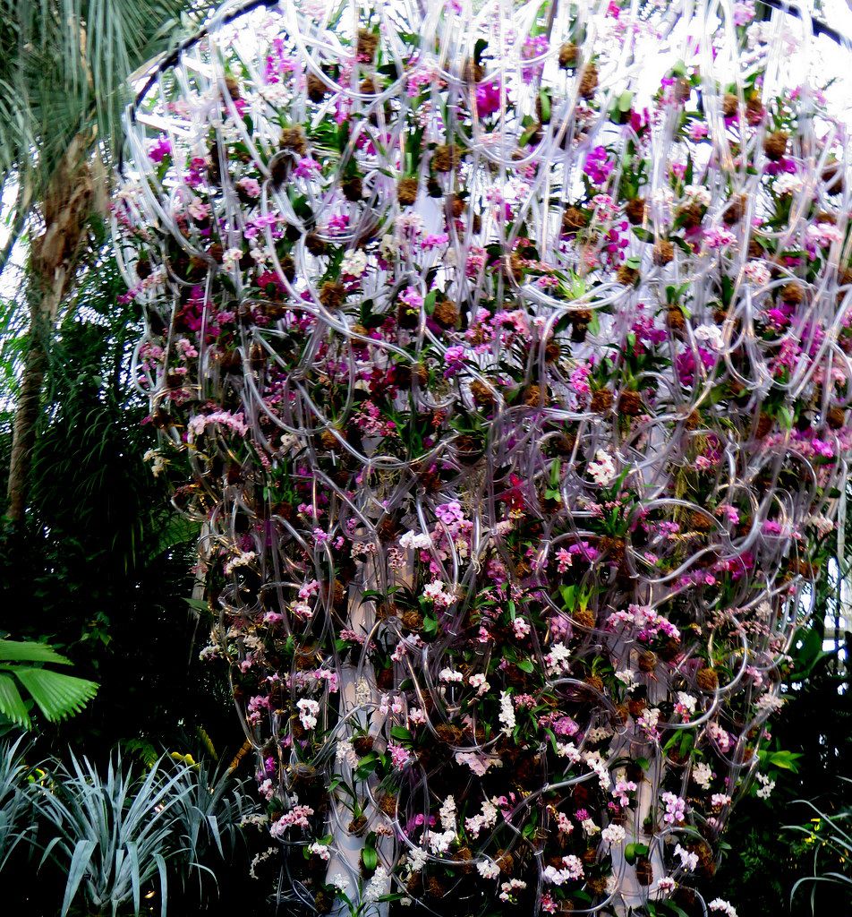 Daniël Ost. 2018 NYBG Orchid Show, Belgian floral artist
