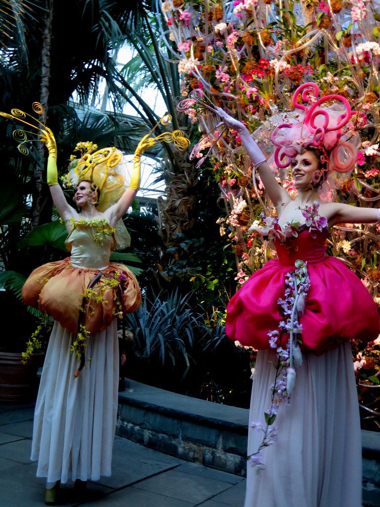 Daniël Ost, 2018 NYBG Orchid Show, Belgian floral artist, Orchid Evenings, Palms of the World Gallery Orchid Dancers