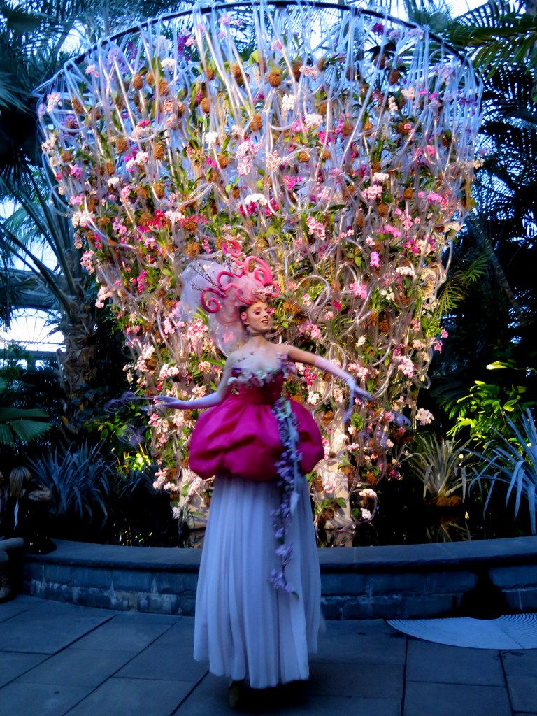 Daniël Ost, Belgian floral artist, 2018 NYBG Orchid Show, Orchid Evenings, Orchid Dancer