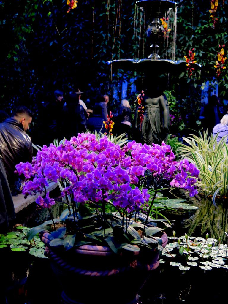 2018 Orchid Show, 'Orchid Evenings,' Daniël Ost, floral artist