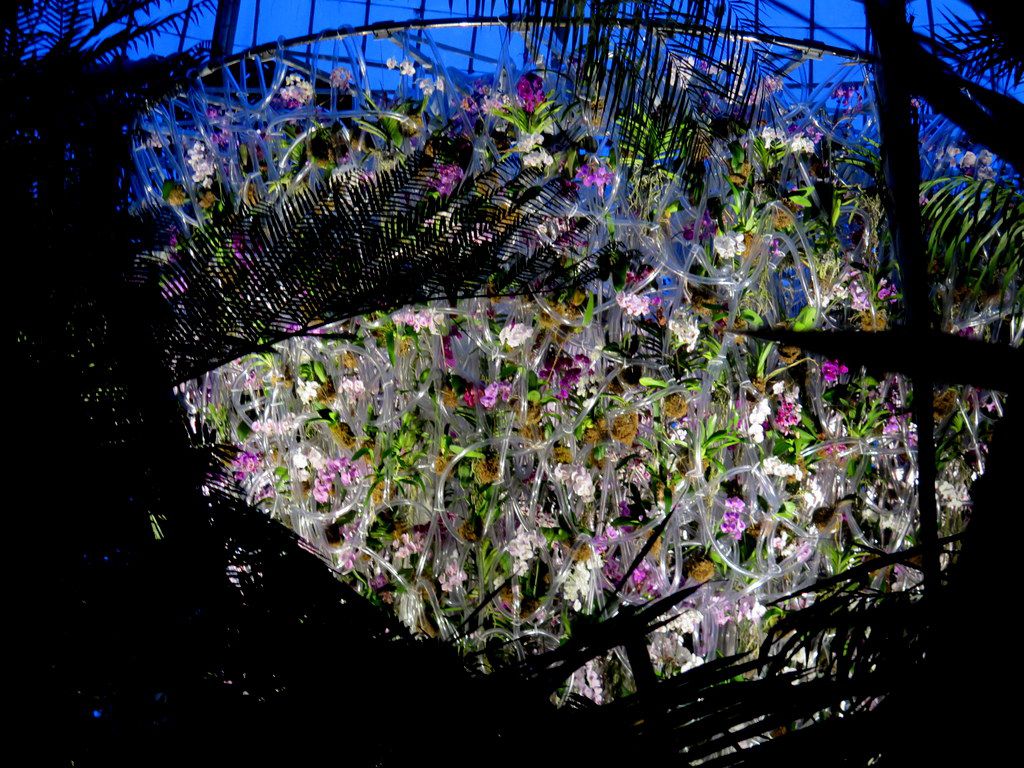 2018 NYBG Orchid Show, Daniël Ost, Belgian floral artist