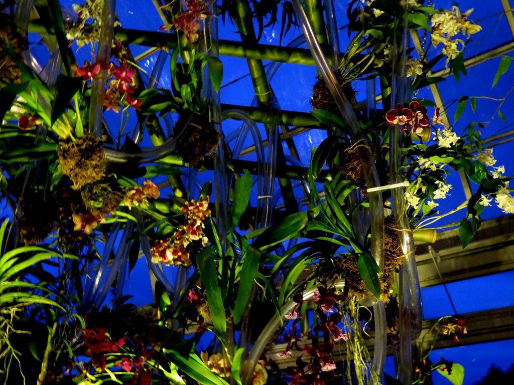 2018 NYBG Orchid Show, Orchid Evenings, Daniël Ost, Belgian floral artist