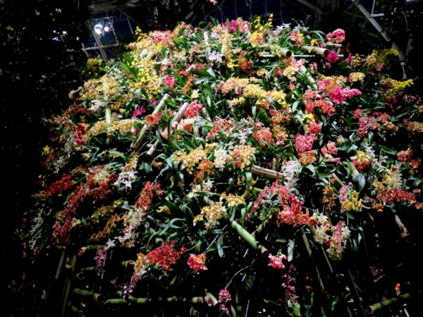 2018 NYBG Orchid Show, Orchid Evenings, Belgian Floral Artist, Daniel ost