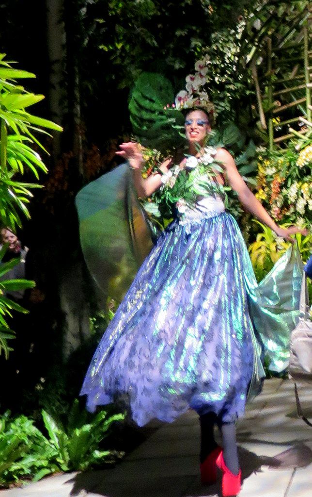 Daniël Ost, Belgian Floral Artist, 2018 Orchid Show, Orchid Evenings