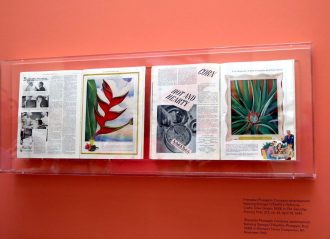 Georgia O'Keeffe: Visions of Hawai'i, NYBG, Georgia O'Keeffe
