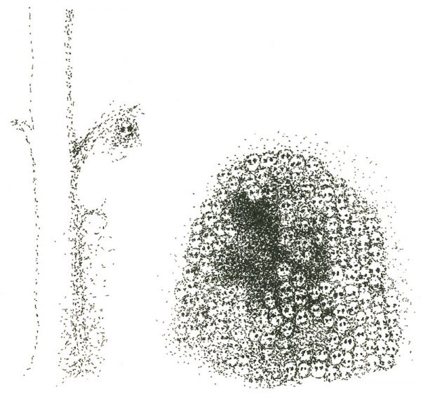 Cover Yoko Ono War Zone
