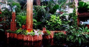 Lower Manhattan, Palms of the World Gallery and Reflecting Pool, NYBG Holiday Train Show 2018, One World Trade Center, The Oculus, The Woolworth Building, Applied Imagination